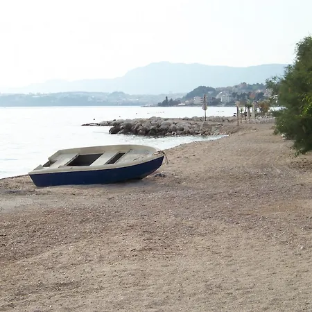 Daire Bozikovic *