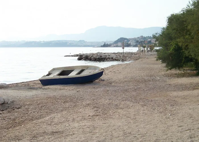 Daire Bozikovic *